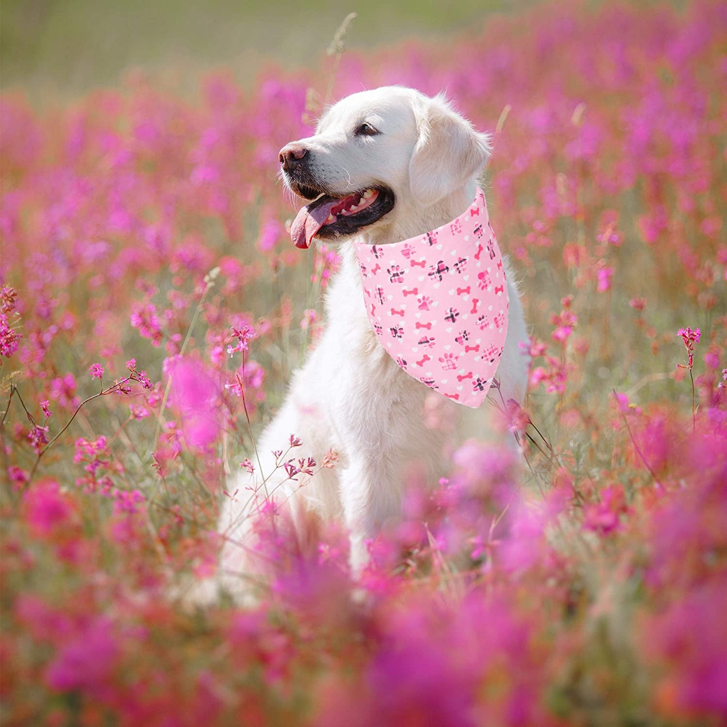 ADOGGYGO Valentine'S Day Dog Bandana Adjustable Reversible Triangle Dog Scarf Pet Bandana for Small Medium Large Dogs Cats Pets Animals & Pet Supplies > Pet Supplies > Dog Supplies > Dog Apparel ADOGGYGO   