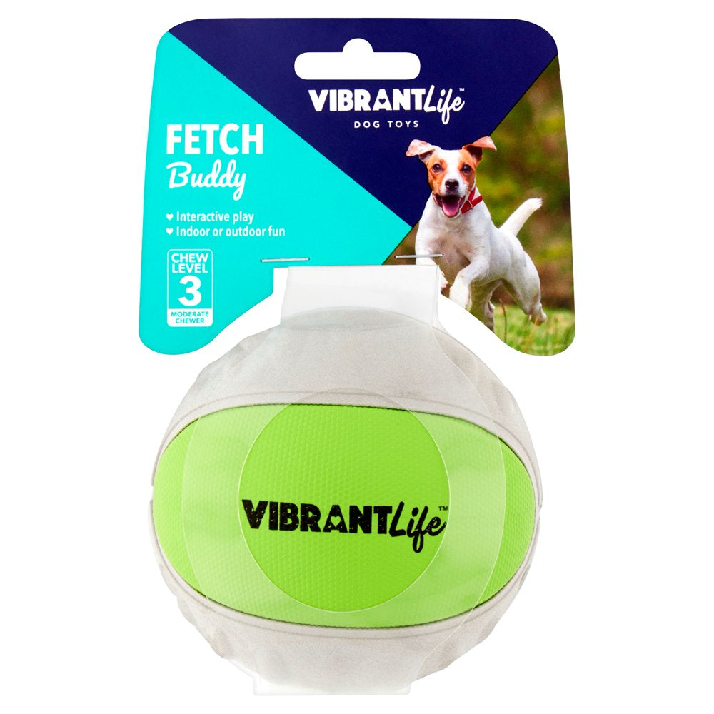 Vibrant Life Fetch Buddy Interactive Ball Dog Fetch Toy, Color May Vary, Medium, Chew Level 3