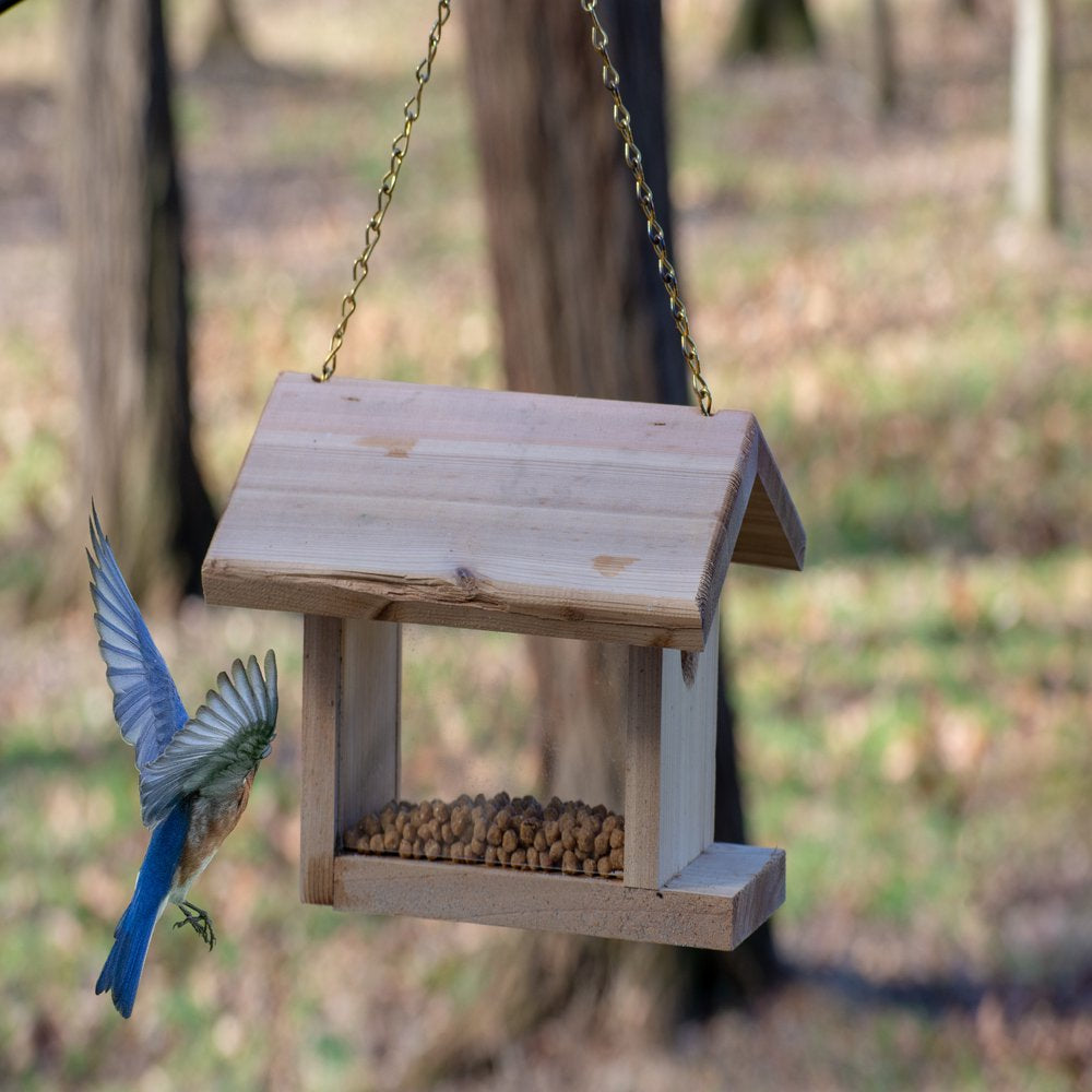 C&S Mealworm Suet Dough Nuggets, 27 Oz, Wild Bird Food Animals & Pet Supplies > Pet Supplies > Bird Supplies > Bird Food C&S Products Company   