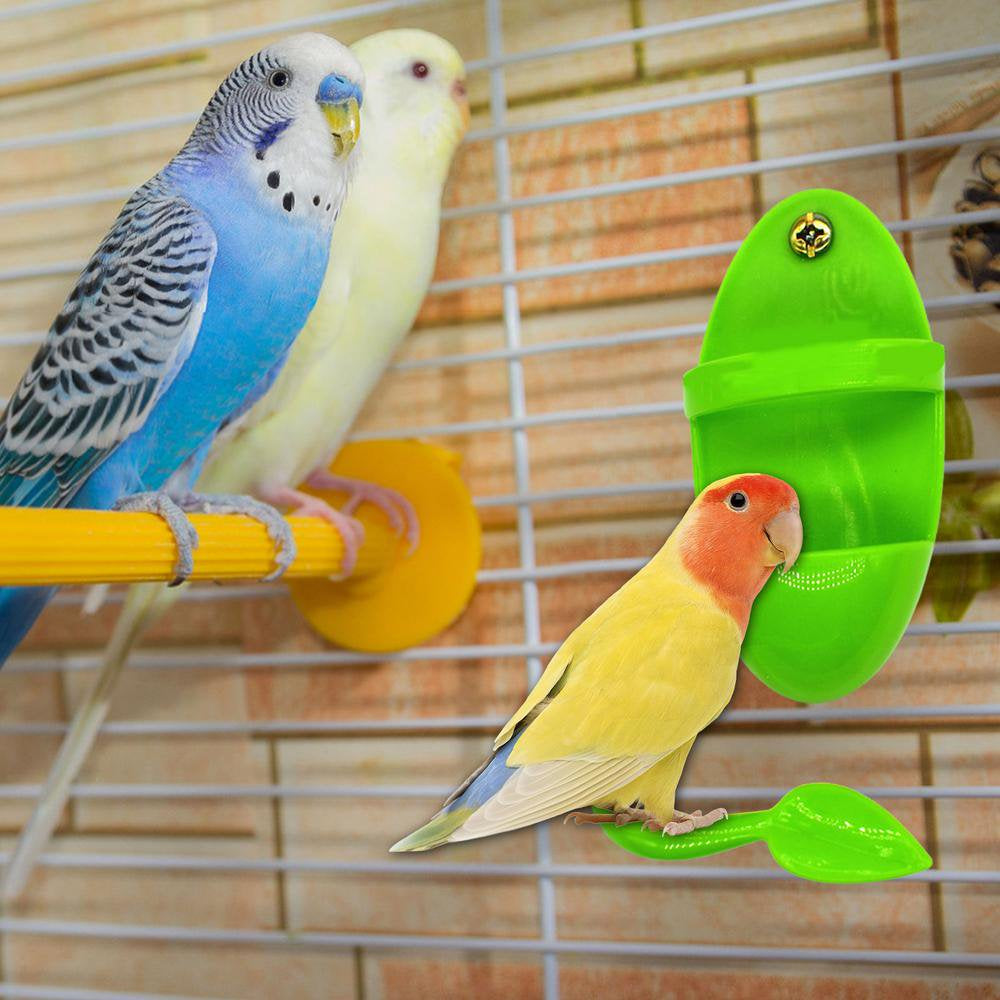 Fovolat Cuttlebone Holder for Bird Cage Bird Cage Accessories Cuttlebone Cuddle Bone Holders Cuddle Bone Cage Accessories Perches Supplies Bird Treat Holder for Birds Cockatiel Conure Friendly Animals & Pet Supplies > Pet Supplies > Bird Supplies > Bird Treats Fovolat   