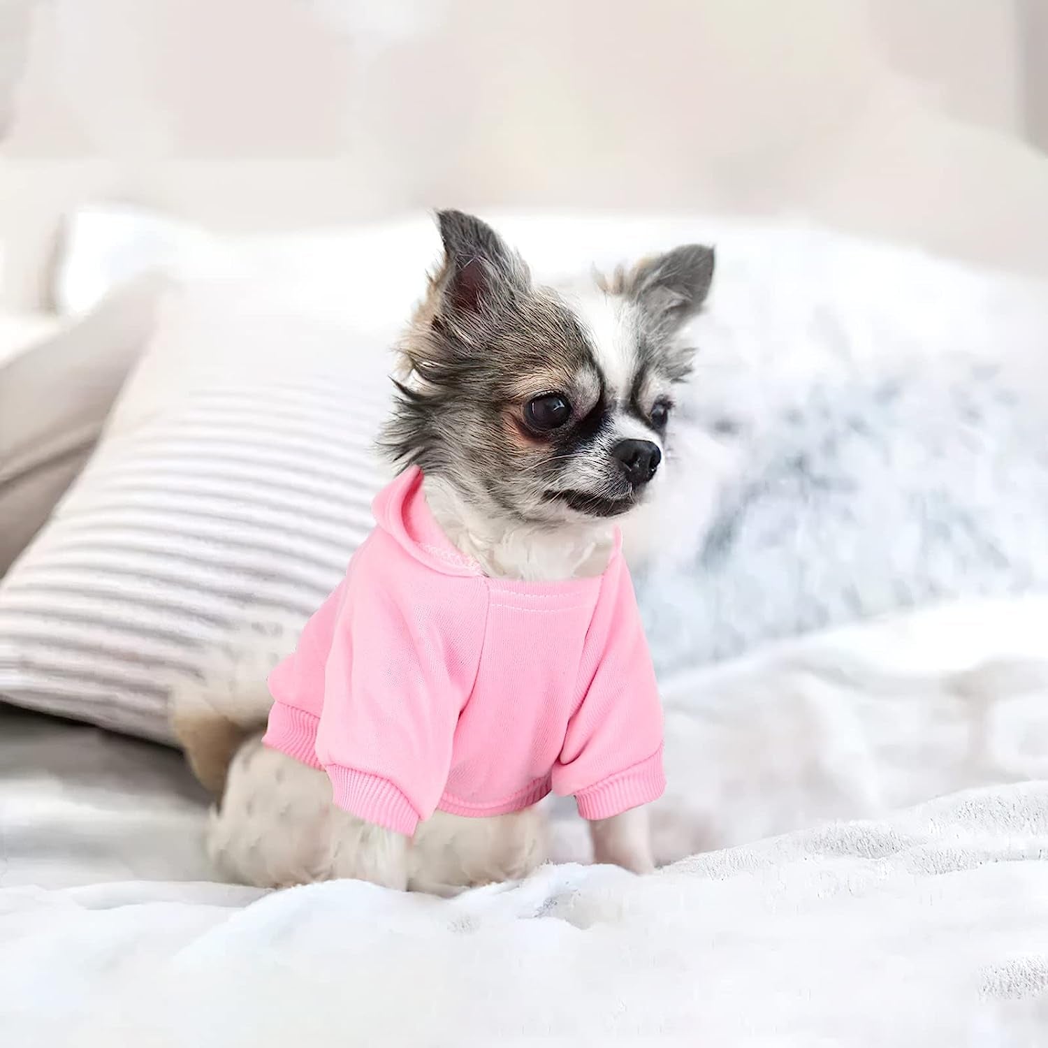 Chihuahua Sweaters for Dogs Puppy Hoodie with Pocket Tiny Dog Clothes Winter Fleece Warm Pet Doggie Sweatshirt for Small Girls Boys Yorkie Extra Small Dog Clothes XXS XS S, 2 Pieces (Xx-Small) Animals & Pet Supplies > Pet Supplies > Dog Supplies > Dog Apparel Sebaoyu   