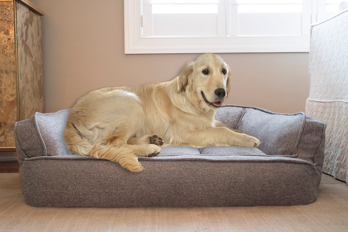 Arlee Memory Foam Sofa and Couch Style Pet Bed for Dogs and Cats Animals & Pet Supplies > Pet Supplies > Cat Supplies > Cat Beds Arlee Home Fashions   