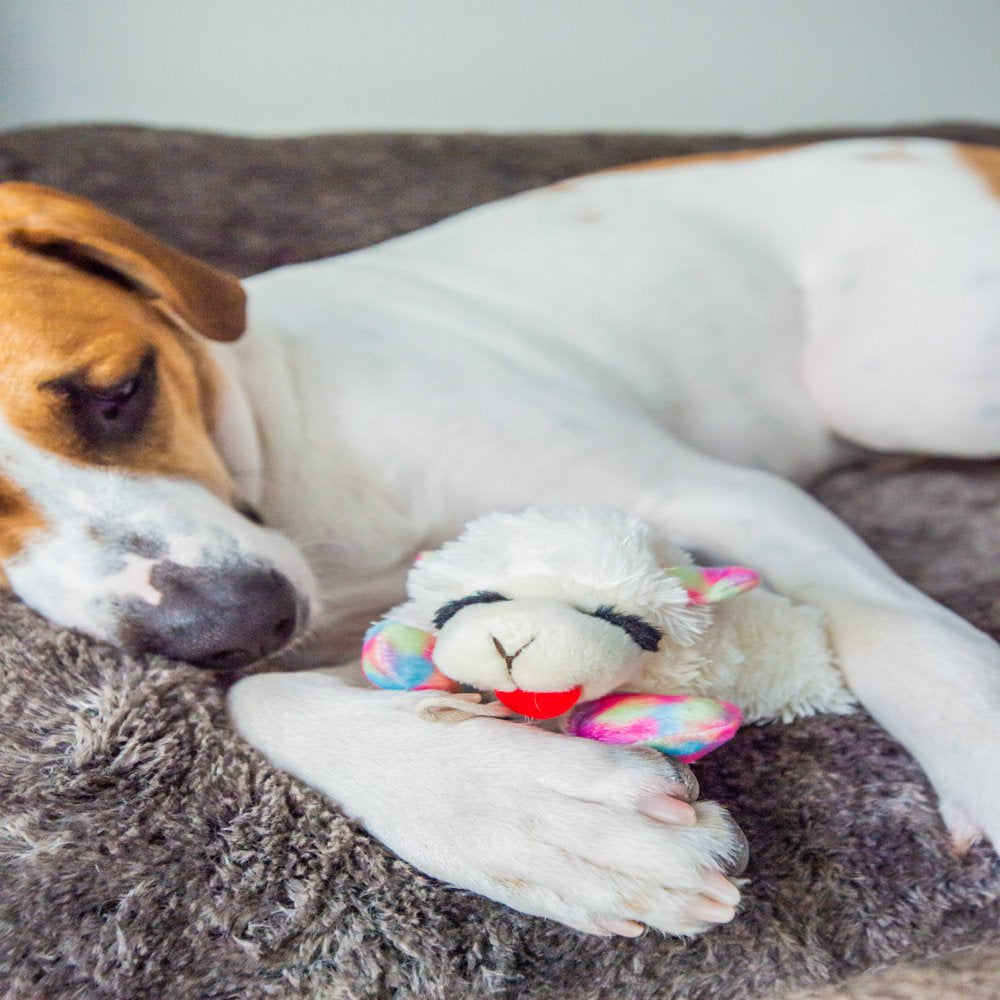 Multipet Lamb Chop Plush Dog Toy, Medium, 10.5", Colors May Vary Animals & Pet Supplies > Pet Supplies > Dog Supplies > Dog Toys Multipet International   