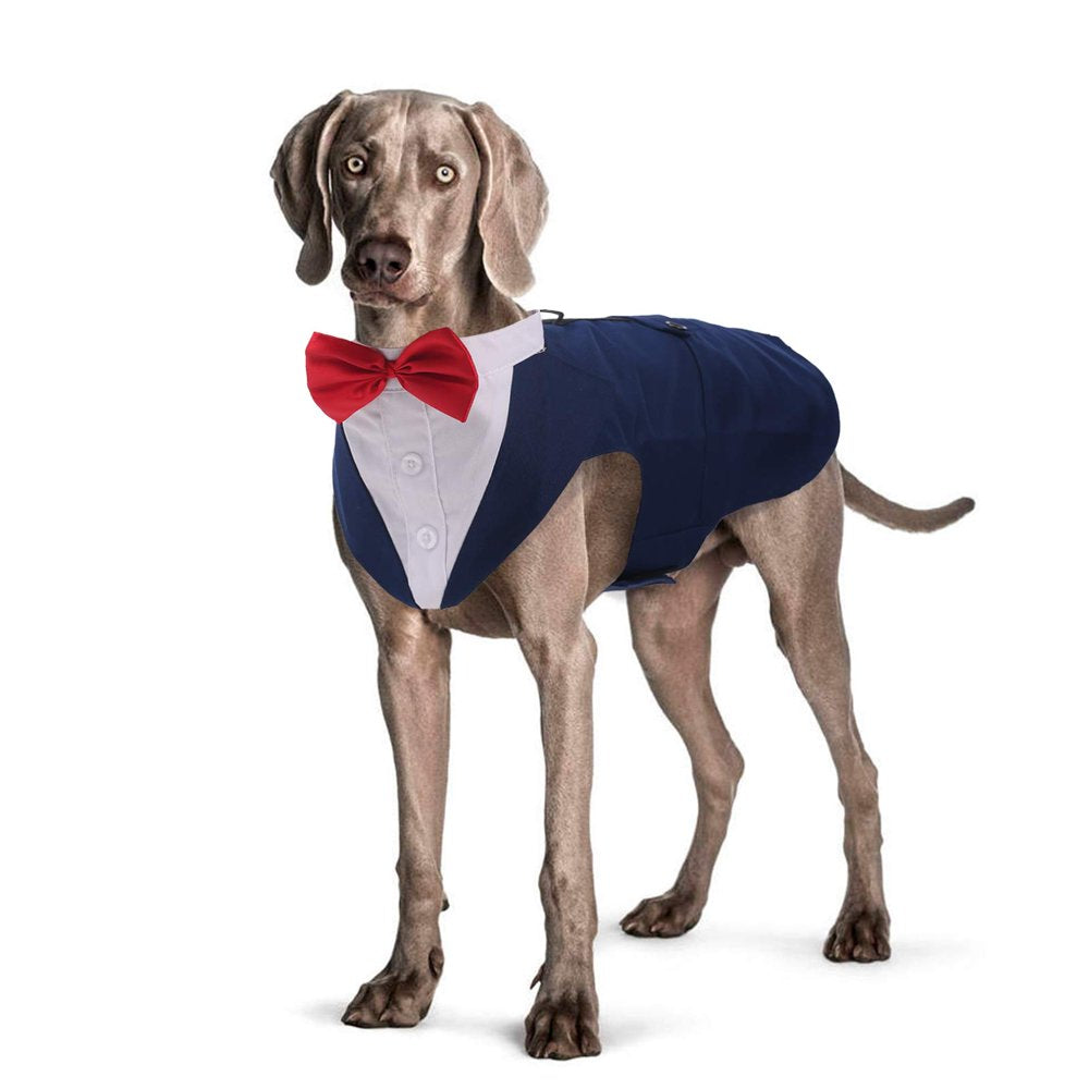 ROZKITCH Dog Formal Tuxedo Suit Costume with Collar Bandana Bow Tie Set for Wedding, Pet Tuxedo Suit for Medium Large Dog, Party Outfit Halloween Birthday Cosplay Elegant Dog Apparel Animals & Pet Supplies > Pet Supplies > Dog Supplies > Dog Apparel ROZKITCH S Blue 