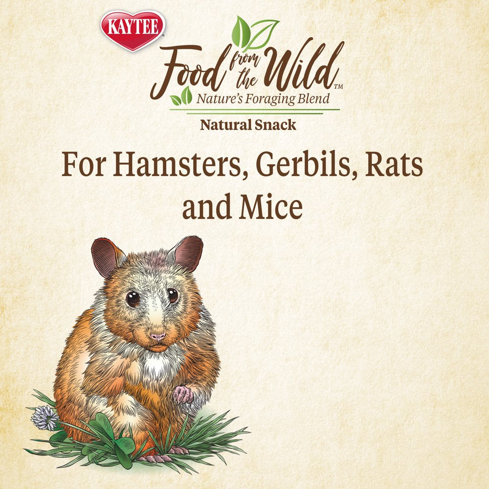 Kaytee Food from the Wild Natural Snack Animals & Pet Supplies > Pet Supplies > Small Animal Supplies > Small Animal Treats Central Garden and Pet   