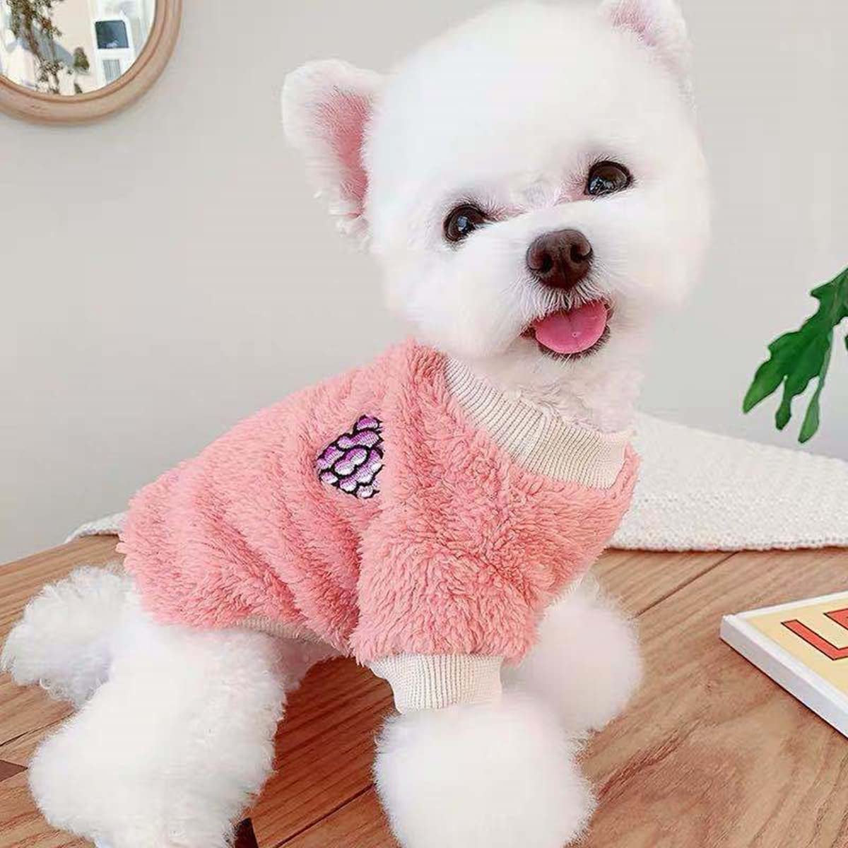 Cute Girl Dog Clothes