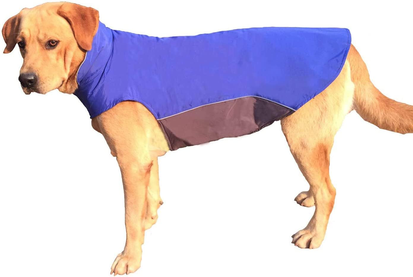 Winter Dog Coat 100% Waterproof Thicken Dog Jacket for Lab Pitbull Doberman Standard Poodle,German Sheperd Large Bread Dog(Navy,3Xl) Animals & Pet Supplies > Pet Supplies > Dog Supplies > Dog Apparel BONAWEN BLUE 3XL"chest girth 31.8-39.0", body 26.3" 