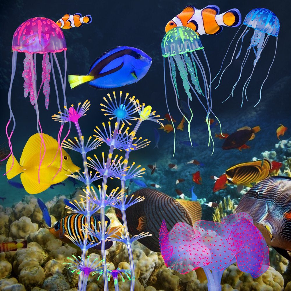 Aperçu des décorations d'aquarium - CO2Art.eu
