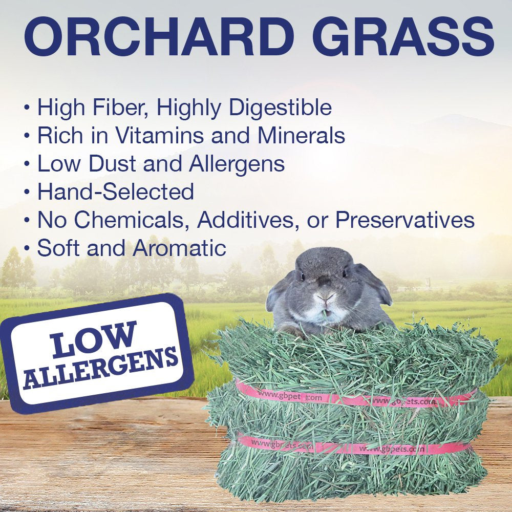 Grandpa'S Best Orchard Grass Hay Mini Bale for Small Animals - 40 Oz