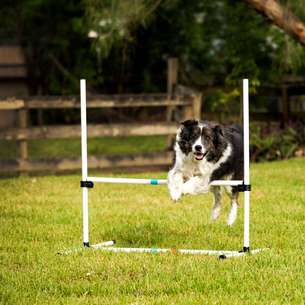 Midlee Dog Agility Beginner Set- Hoop Jump, Weave Poles, and Bar Jump Animals & Pet Supplies > Pet Supplies > Dog Supplies > Dog Treadmills Midlee   