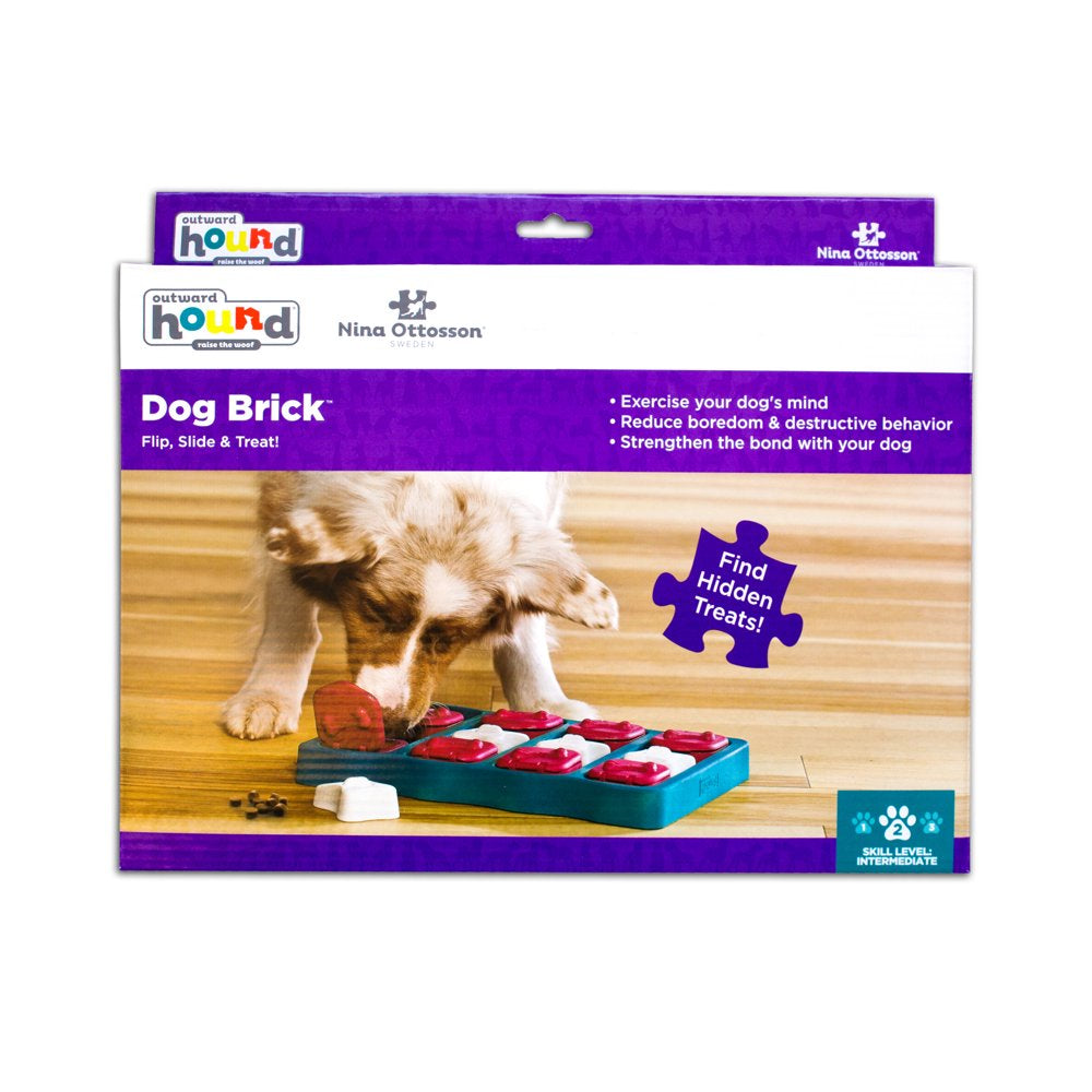 Outward Hound Nina Dog Brick Interactive Treat Puzzle Dog Toy, Blue, One-Size Animals & Pet Supplies > Pet Supplies > Dog Supplies > Dog Toys Outward Hound Holdings   