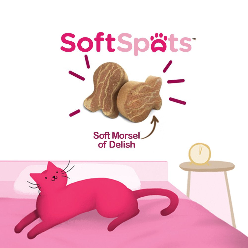 Rachael Ray Nutrish Soft Spots Cat Treats, Salmon, 2.5 Ounce Bag Animals & Pet Supplies > Pet Supplies > Cat Supplies > Cat Treats The J.M. Smucker Company   