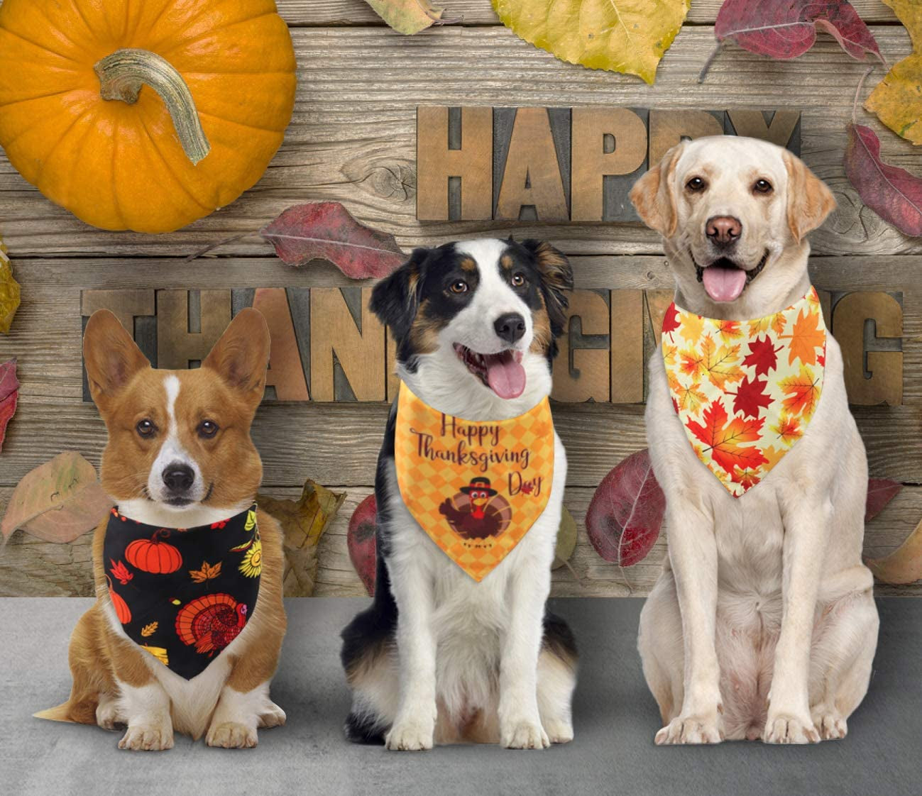 Idepet Autumn Dog Bandana 3 Pack Halloween Fall Pet Triangle Bibs Scarf Cute Turkey Maple Leaf Printing Kerchief Sets Washable Accessories for Small Medium Large Dogs Cats Reversible Animals & Pet Supplies > Pet Supplies > Dog Supplies > Dog Apparel Idepet   