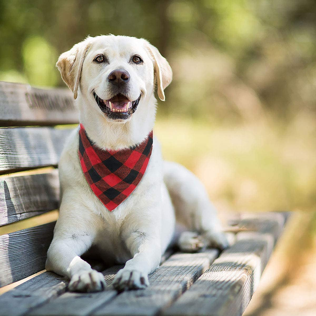 YBXZ Buffalo Plaid Dog Bandanas 1Pack,Red Flannel Bandanas Scarfs Triangle Bibs for Small Medium Large Size Dogs and Cats Double Layer Thickening Washable. Animals & Pet Supplies > Pet Supplies > Dog Supplies > Dog Apparel CRMADA   