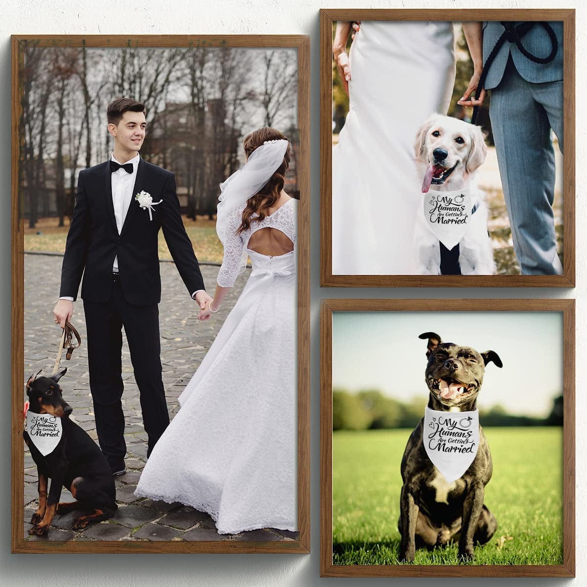 Engagement Gift, My Humans Are Getting Married Dog Bandana, Wedding Photo Prop, Pet Scarf, Dog Engagement Announcement, Pet Accessories (Black)