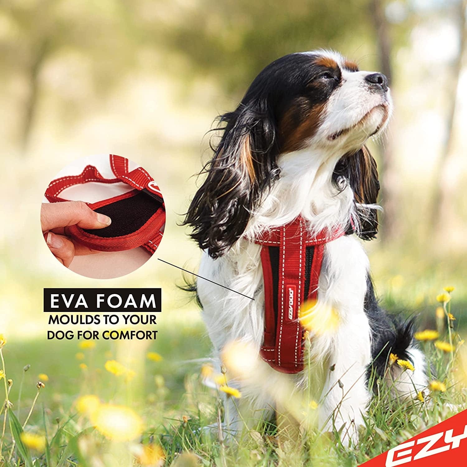 Ezydog Chest Plate Harness - Dog Vest Harness, Black, Small Animals & Pet Supplies > Pet Supplies > Dog Supplies > Dog Apparel EzyDog   