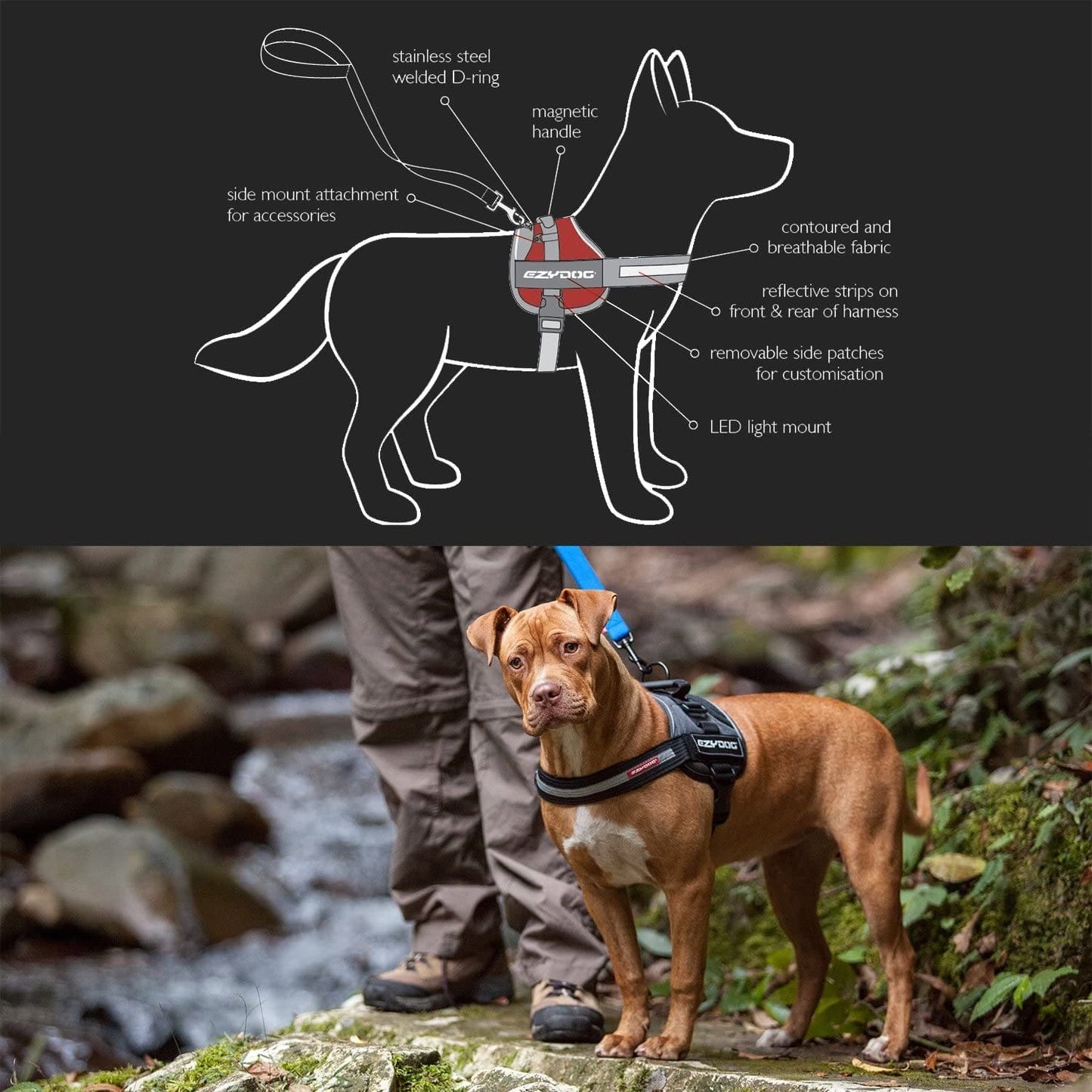 Ezydog Convert Trail-Ready Outdoor Adjustable Dog Harness - Perfect for Hiking, Walking, and Doubles as a Service Dog Vest - Superior Comfort Design with a Durable Traffic Handle (X-Small, Charcoal) Animals & Pet Supplies > Pet Supplies > Dog Supplies > Dog Apparel EzyDog, LLC   