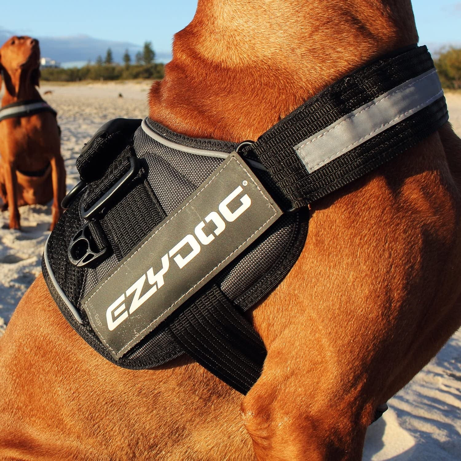 Ezydog Convert Trail-Ready Outdoor Adjustable Dog Harness - Perfect for Hiking, Walking, and Doubles as a Service Dog Vest - Superior Comfort Design with a Durable Traffic Handle (X-Small, Charcoal) Animals & Pet Supplies > Pet Supplies > Dog Supplies > Dog Apparel EzyDog, LLC   