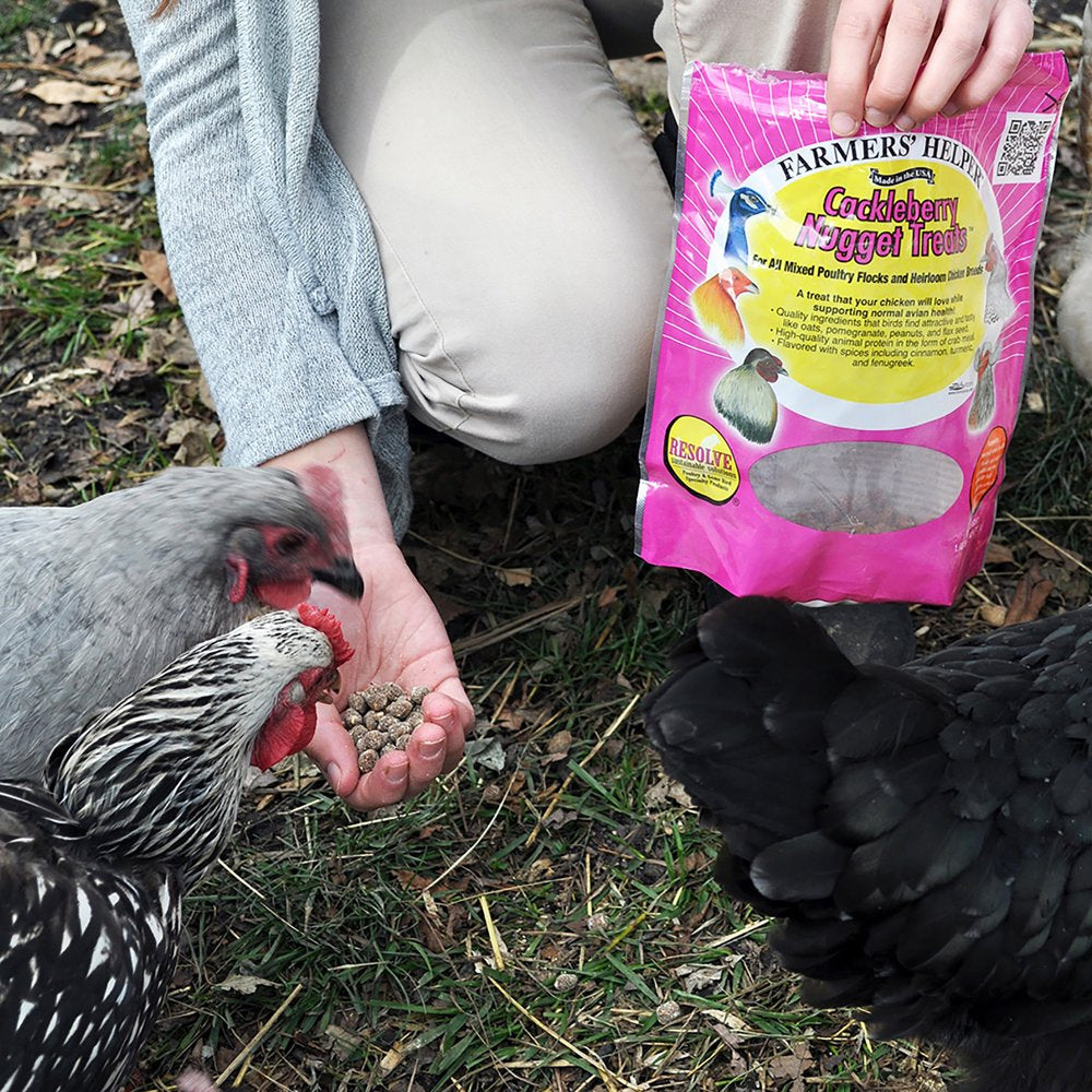 Farmer'S Helper Cackleberry Nuggets, Dietary Supplement, 27 Oz Resealable Bag Animals & Pet Supplies > Pet Supplies > Bird Supplies > Bird Treats Central Garden and Pet   