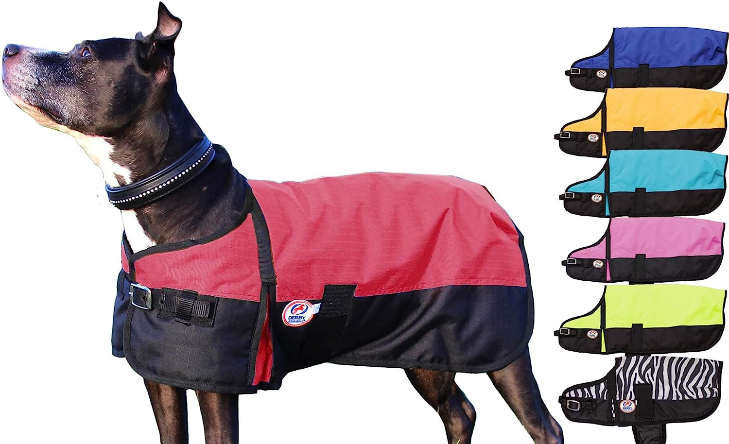 Derby Originals Horse Tough 600D Ripstop Waterproof Winter Dog Coat 150G Medium Weight Animals & Pet Supplies > Pet Supplies > Dog Supplies > Dog Apparel Derby Originals Red 13.5 in 