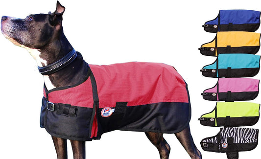 Derby Originals Horse Tough 600D Ripstop Waterproof Winter Dog Coat 150G Medium Weight Animals & Pet Supplies > Pet Supplies > Dog Supplies > Dog Apparel Derby Originals Red 13.5 in 