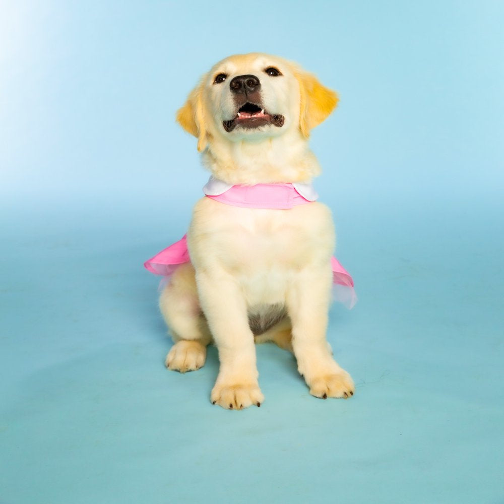 Doggy Parton, Dog Clothes, Cowgirl Collared Dog or Cat Dress, Pink, S Animals & Pet Supplies > Pet Supplies > Cat Supplies > Cat Apparel Mission Pets, Inc   