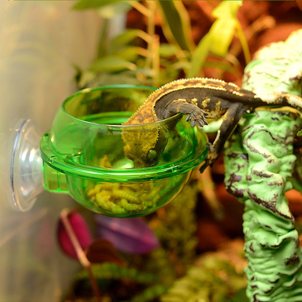 Suction Cup Reptiles Feeder Anti-Escape Amphibians Drinker Bowl Worm Container Animals & Pet Supplies > Pet Supplies > Reptile & Amphibian Supplies > Reptile & Amphibian Food HOMSINO   