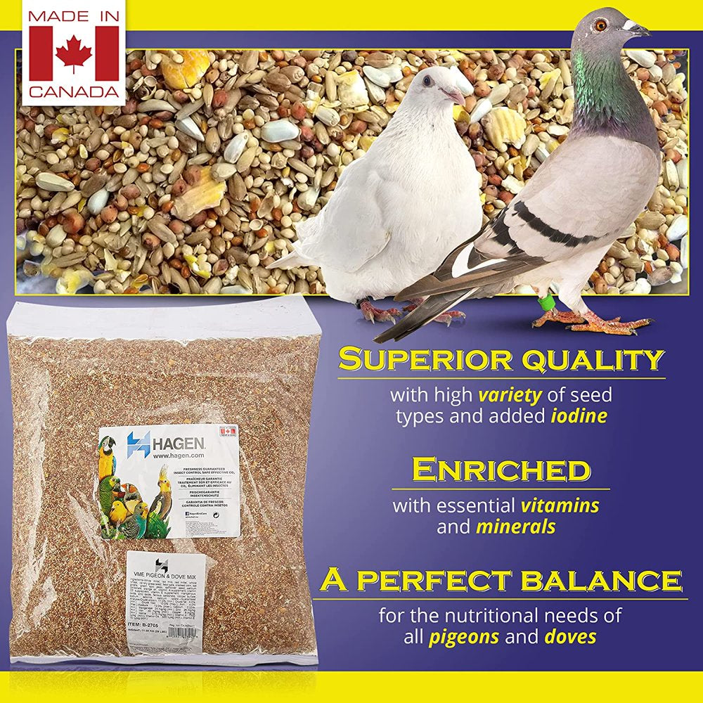 Hagen Pigeon & Dove Seed, Nutritionally Complete Bird Food Animals & Pet Supplies > Pet Supplies > Bird Supplies > Bird Food Hagen   