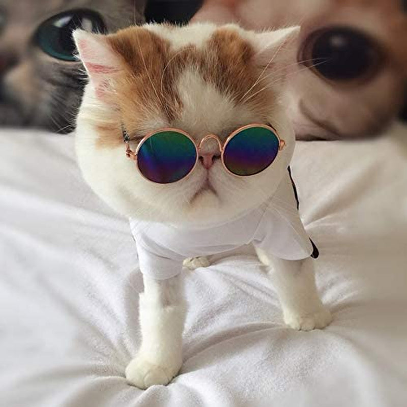 Tatoonly Superjiuex Fashionable Design Small Pet Dogs Cats Eyewear Sunglasses Universal Eye Protective Summer Pet Photos Props Animals & Pet Supplies > Pet Supplies > Dog Supplies > Dog Apparel Superjiuex   