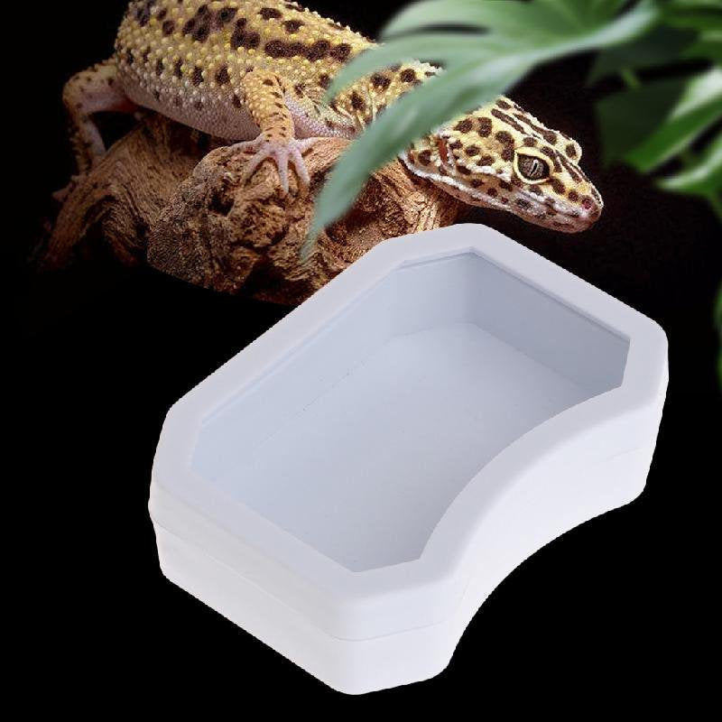 Reptile Water Dish Food Bowl for Pet Gecko Spider Scorpion Chameleon Reptiles Amphibians Terrarium Habitat 3 Sizes Animals & Pet Supplies > Pet Supplies > Reptile & Amphibian Supplies > Reptile & Amphibian Food JZROCKER   