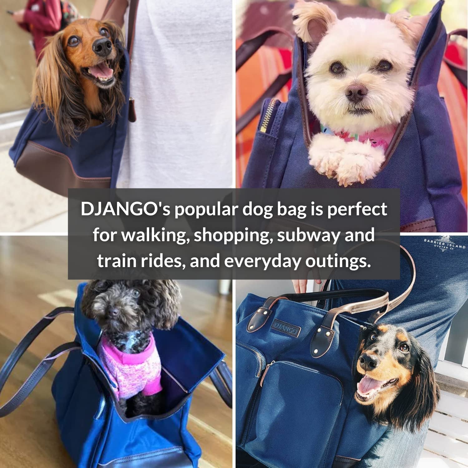 Django Dog Carrier Bag - Waxed Canvas and Leather Soft-Sided Pet Travel Tote with Bag-to-Harness Safety Tether & Secure Zipper Pockets (Large, Olive