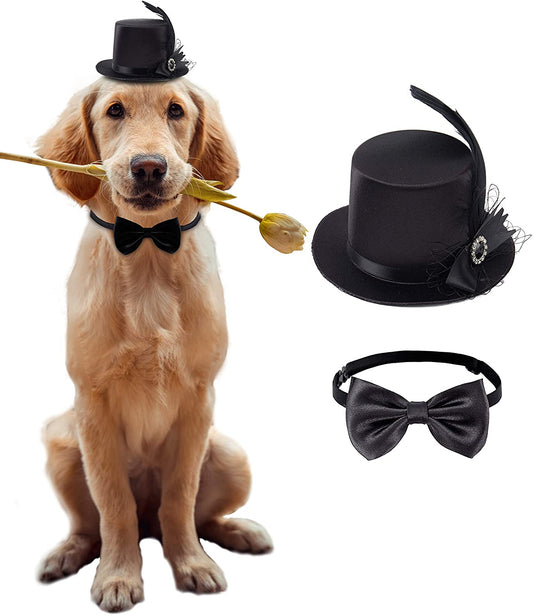 Coucoland Dog Costume Top Hat and Bow Tie Feather Birthday Hat and Bow Tie Collar for Dog Cat Pet Party Accessories Costume Dog Party Supplies for Halloween Christmas (Black) Animals & Pet Supplies > Pet Supplies > Dog Supplies > Dog Apparel Coucoland Style 1-Black  