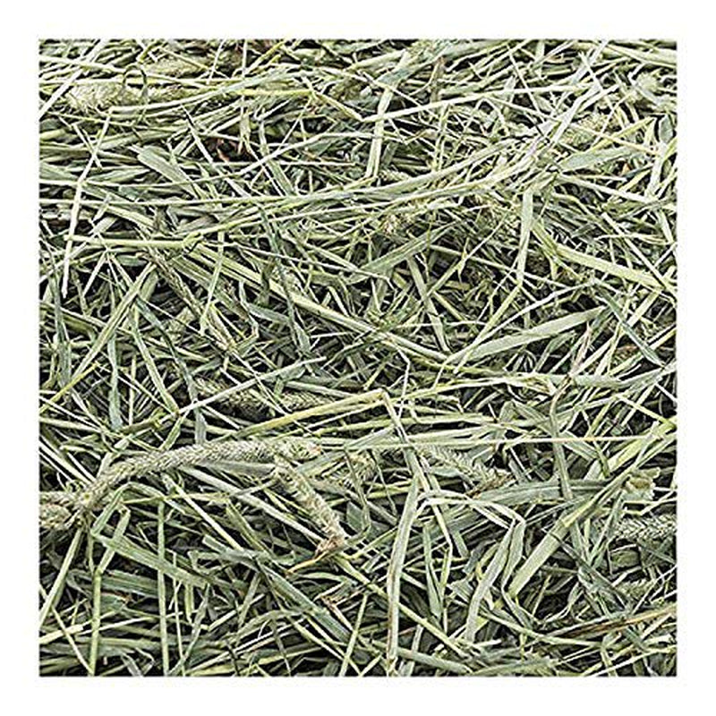 Small Pet Select 1St Cutting "High Fiber" Timothy Hay Pet Food, 20 Lb. Animals & Pet Supplies > Pet Supplies > Small Animal Supplies > Small Animal Food Small Pet Select Inc.   