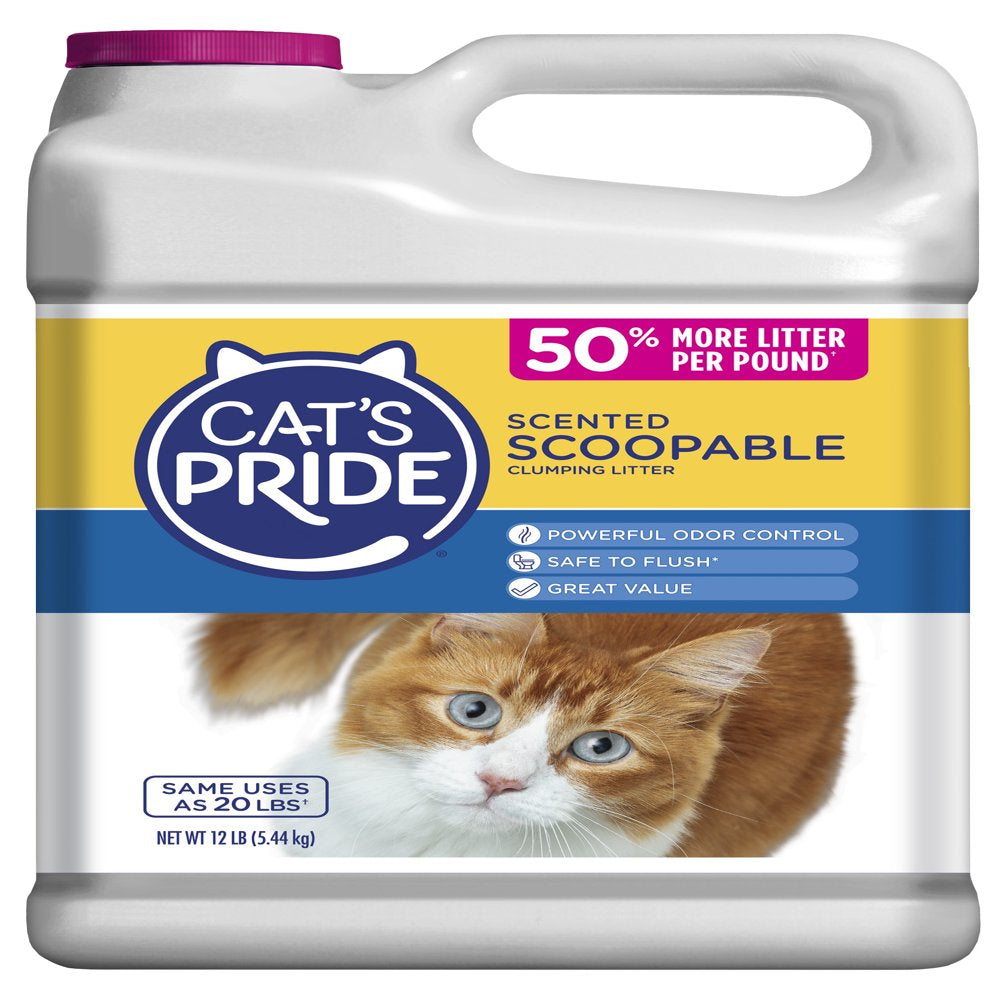 Cats Pride Scoopable Scented Lightweight Clumping Cat Litter, 12 Lb Jug Animals & Pet Supplies > Pet Supplies > Cat Supplies > Cat Litter Oil-Dri Corporation of America   