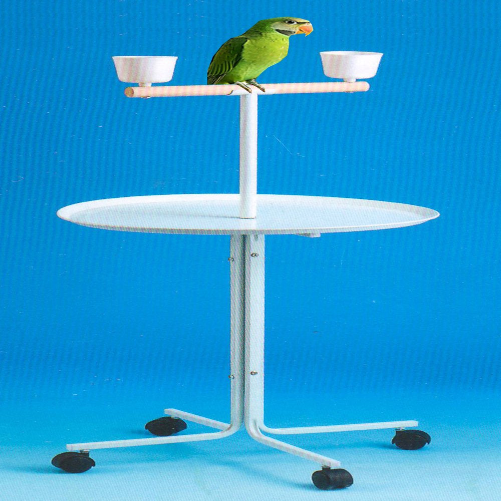 Large 23" Play T-Stand Wooden Perch Rolling Stand with Metal Base Parrot Bird Cage African Grey Macaw Cockatoo Animals & Pet Supplies > Pet Supplies > Bird Supplies > Bird Cages & Stands Mcage   