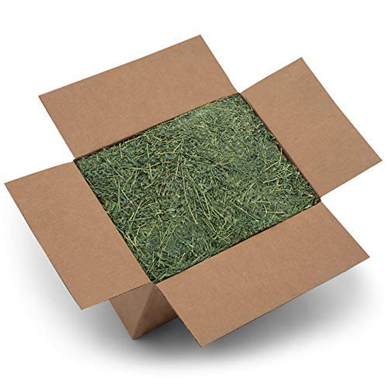 High Desert Alfalfa Hay - Dried Natural Alfalfa Hay for Rabbits, Guinea Pigs, Chinchillas, and Ferrets - Protein and Fiber Rich Food for Small Animals - Healthy Pet Food Animals & Pet Supplies > Pet Supplies > Small Animal Supplies > Small Animal Food High Desert Small Animal Feed   