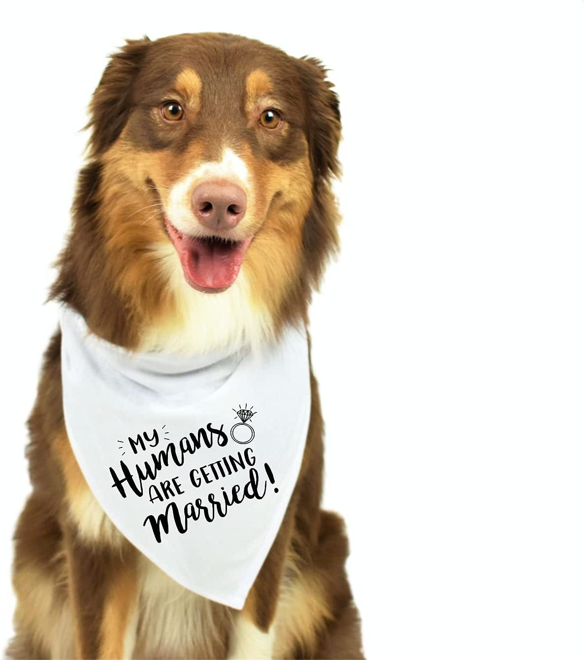 My Humans Are Getting Married Dog Bandana, Wedding Dog Bandana, Dog Engagement Announcement, Wedding Photo Prop, Pet Scarf, Pet Accessories Animals & Pet Supplies > Pet Supplies > Dog Supplies > Dog Apparel Moonwake Designs Co   