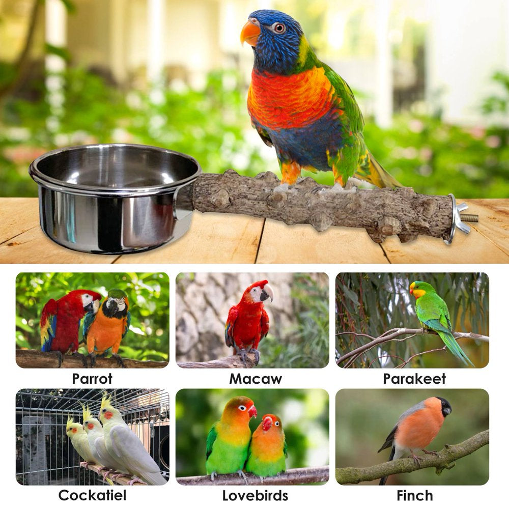 Bird Parrot Feeder Food Water Feeding Bowl Pet Cage Drinking Cups Parrot Perch Stand with Food Water Bowl Animals & Pet Supplies > Pet Supplies > Bird Supplies > Bird Cages & Stands pakewalm   