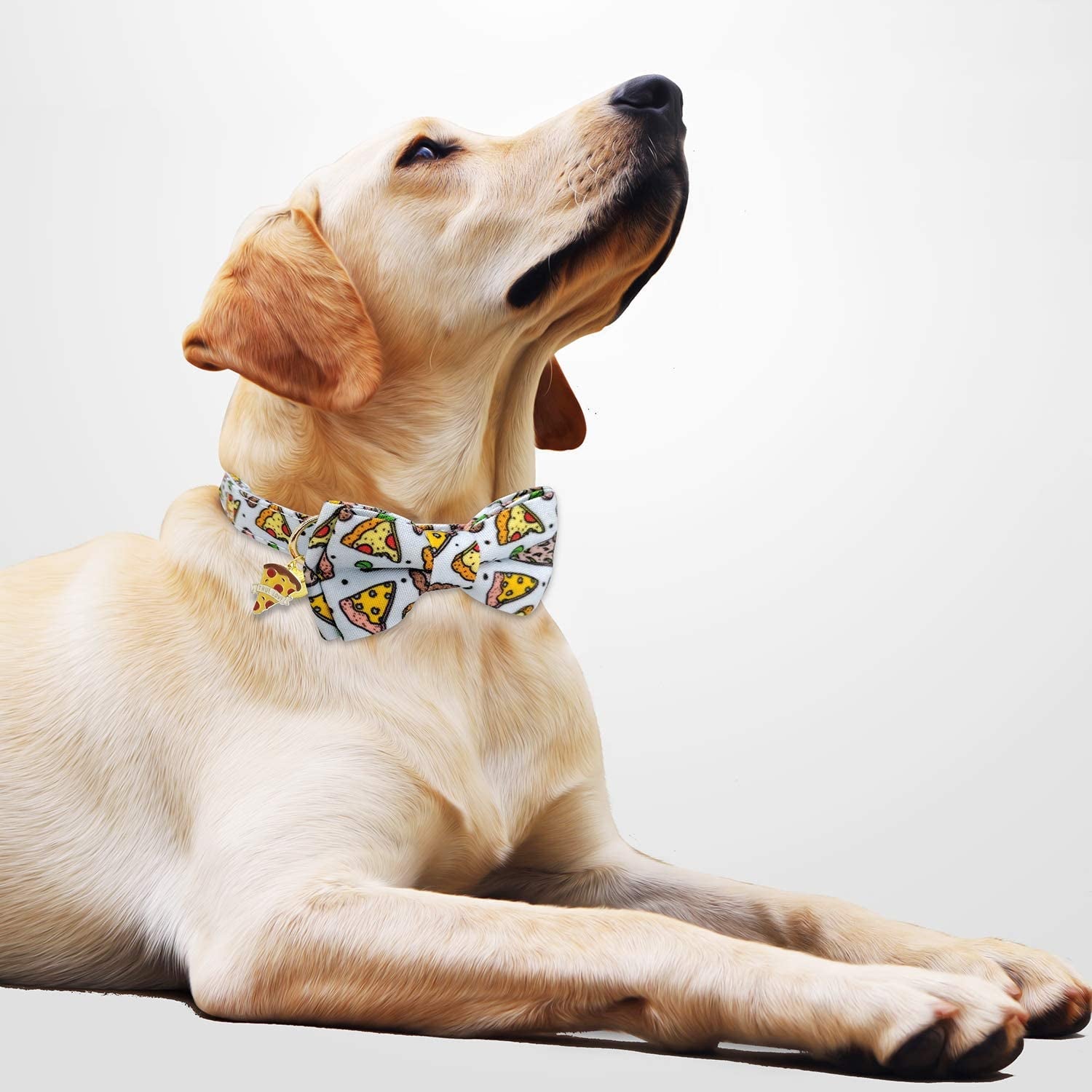 Cute Soft Girl Dog Collar With Bow, Bowtie Dog Collar For Boy Dog