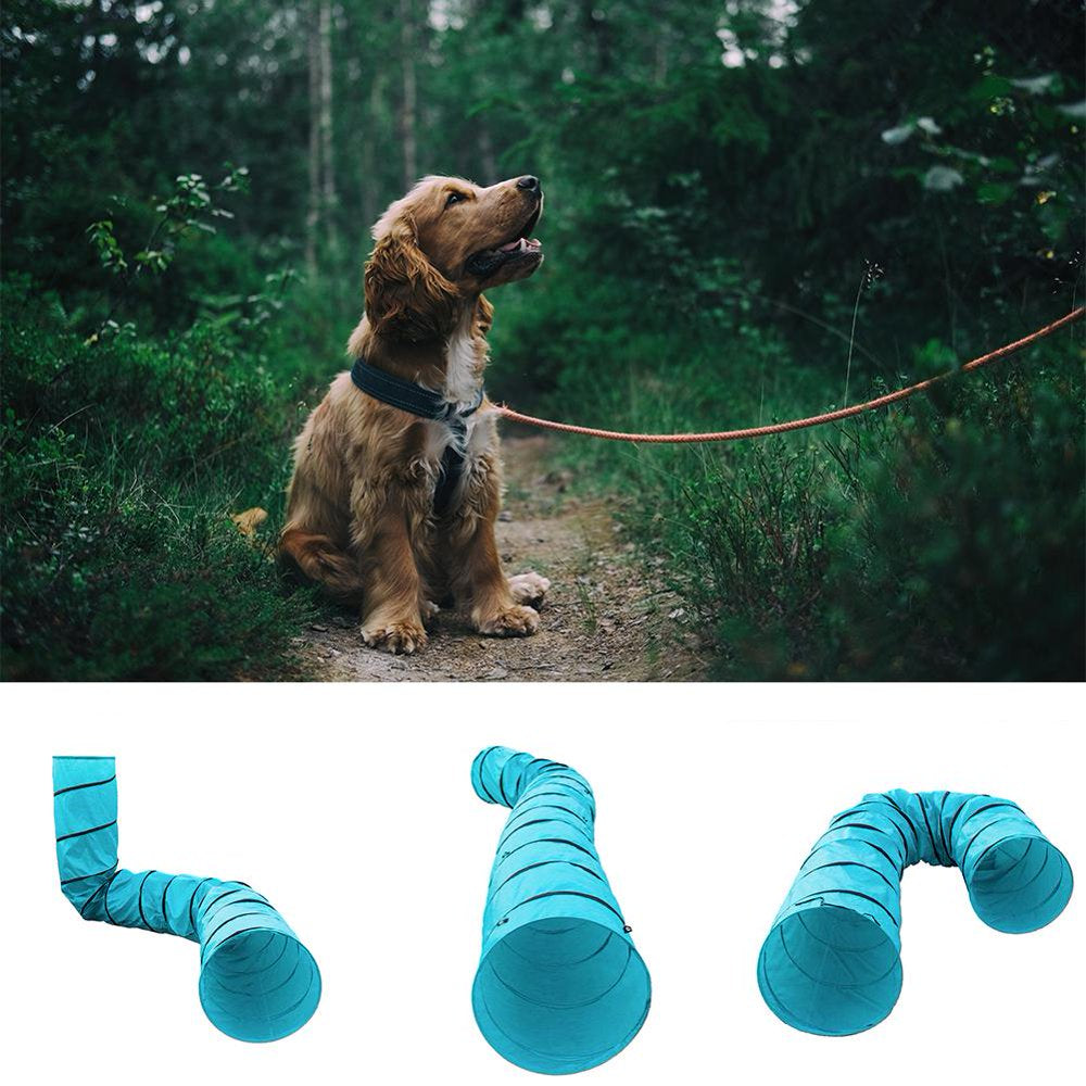 Pet Blue Tunnel Dog Agility Obedience Training 550Cm Length Play Tent House