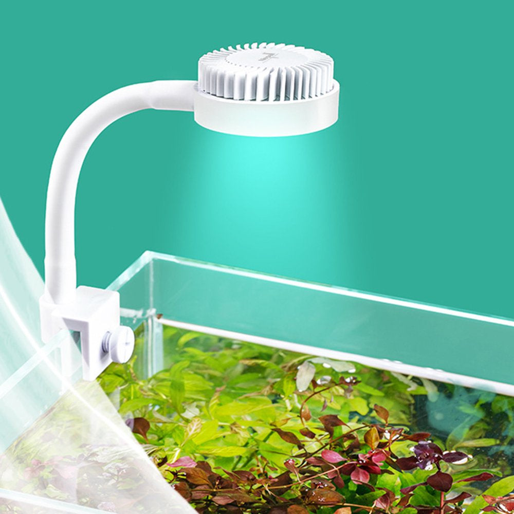 HGYCPP Aquarium Light Small LED Clip Light for Fish Tank with Separate Power Switch Power Saving Hight Brightness Flicker-Free Animals & Pet Supplies > Pet Supplies > Fish Supplies > Aquarium Lighting HGYCPP   