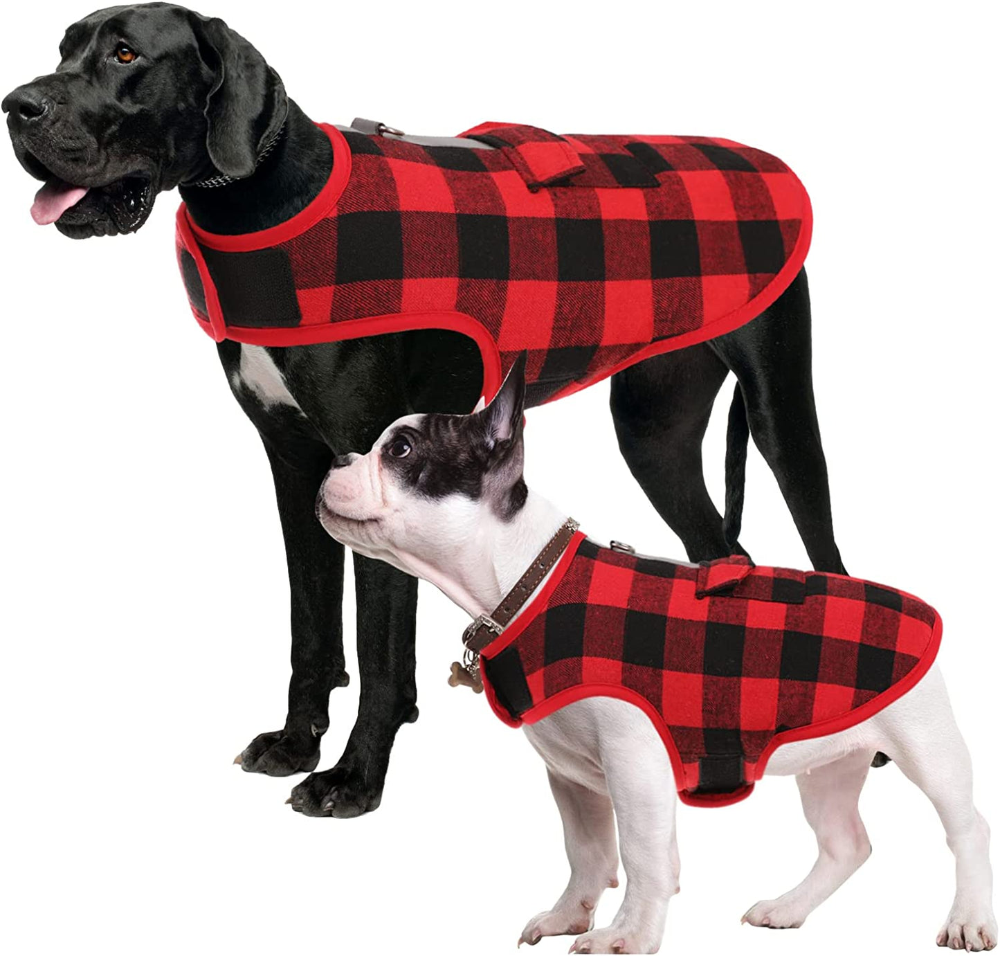 Queenmore Winter Dog Jacket, Adjustable Waterproof Reflective Cold Weather Padding Coat, Plaid Checkered Pet Clothes with Pocket (Red, S) Animals & Pet Supplies > Pet Supplies > Dog Supplies > Dog Apparel Queenmore Red Medium 