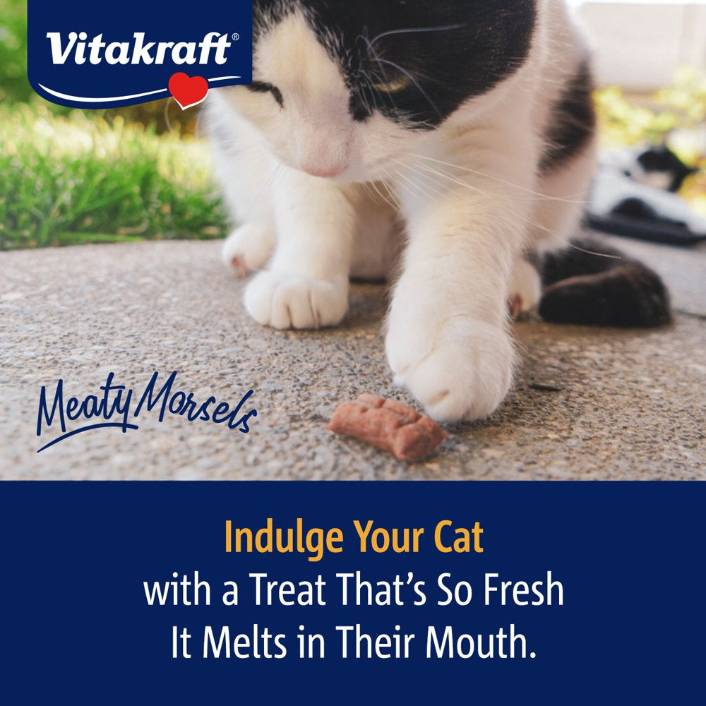 Vitakraft Meaty Morsels, Soft Cat Treats, Chicken Recipe with Pumpkin, 1.4 Oz Animals & Pet Supplies > Pet Supplies > Cat Supplies > Cat Treats Vitakraft   