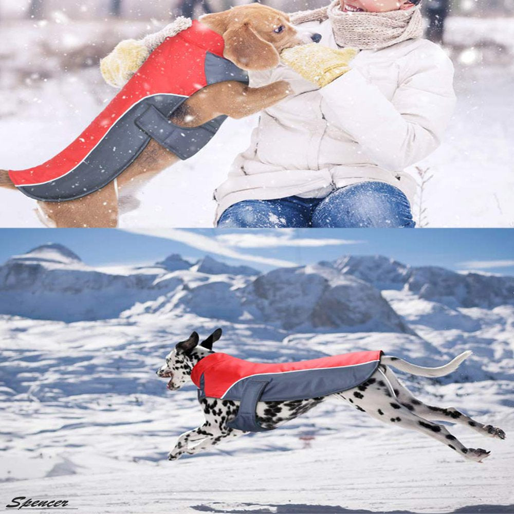 Spencer Winter Dog Coat Vest Windproof Reflective Warm Dog Jackets Pet Apparel for Small Medium Large Dogs Outdoor Walking "M-5XL" Animals & Pet Supplies > Pet Supplies > Dog Supplies > Dog Apparel Spencer   