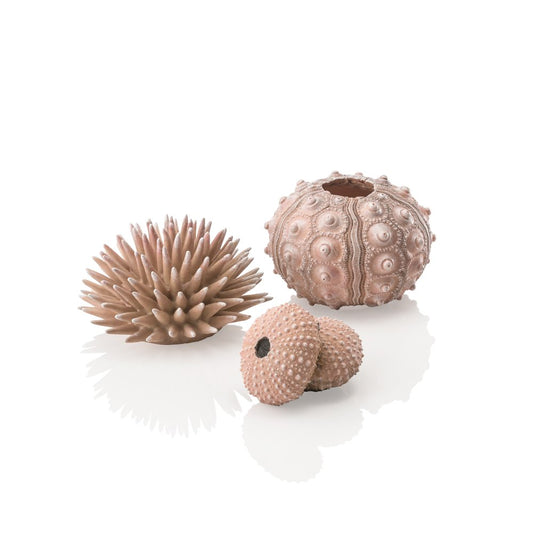 Biorb Sea Urchins Set 3 Natural Animals & Pet Supplies > Pet Supplies > Fish Supplies > Aquarium Decor OASE Off-White  