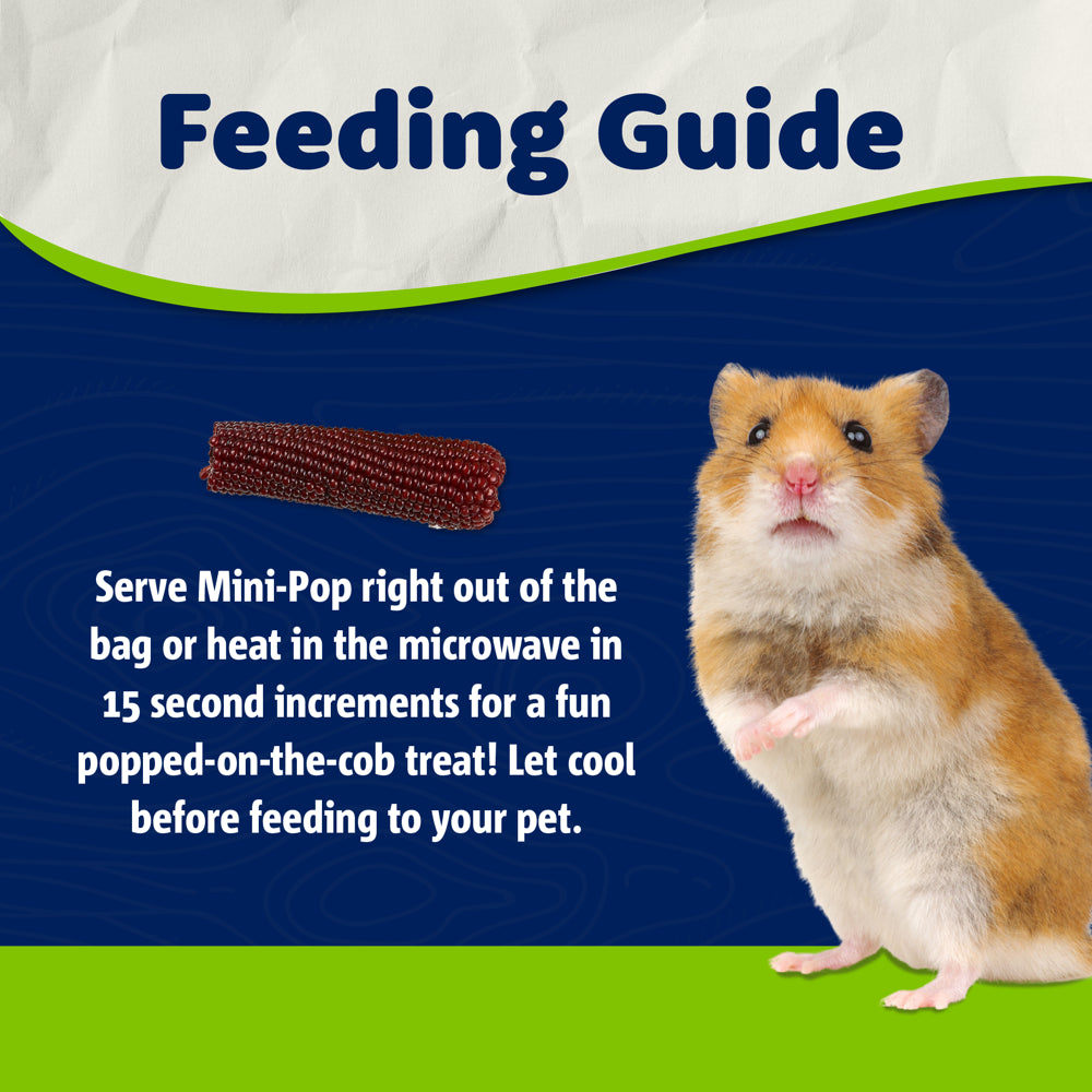 Vitakraft Mini Pops Treat for Small Animals - 100% Real Corn Cob - Supports Healthy Teeth - 6 Oz Animals & Pet Supplies > Pet Supplies > Small Animal Supplies > Small Animal Food Vitakraft Sun Seed   