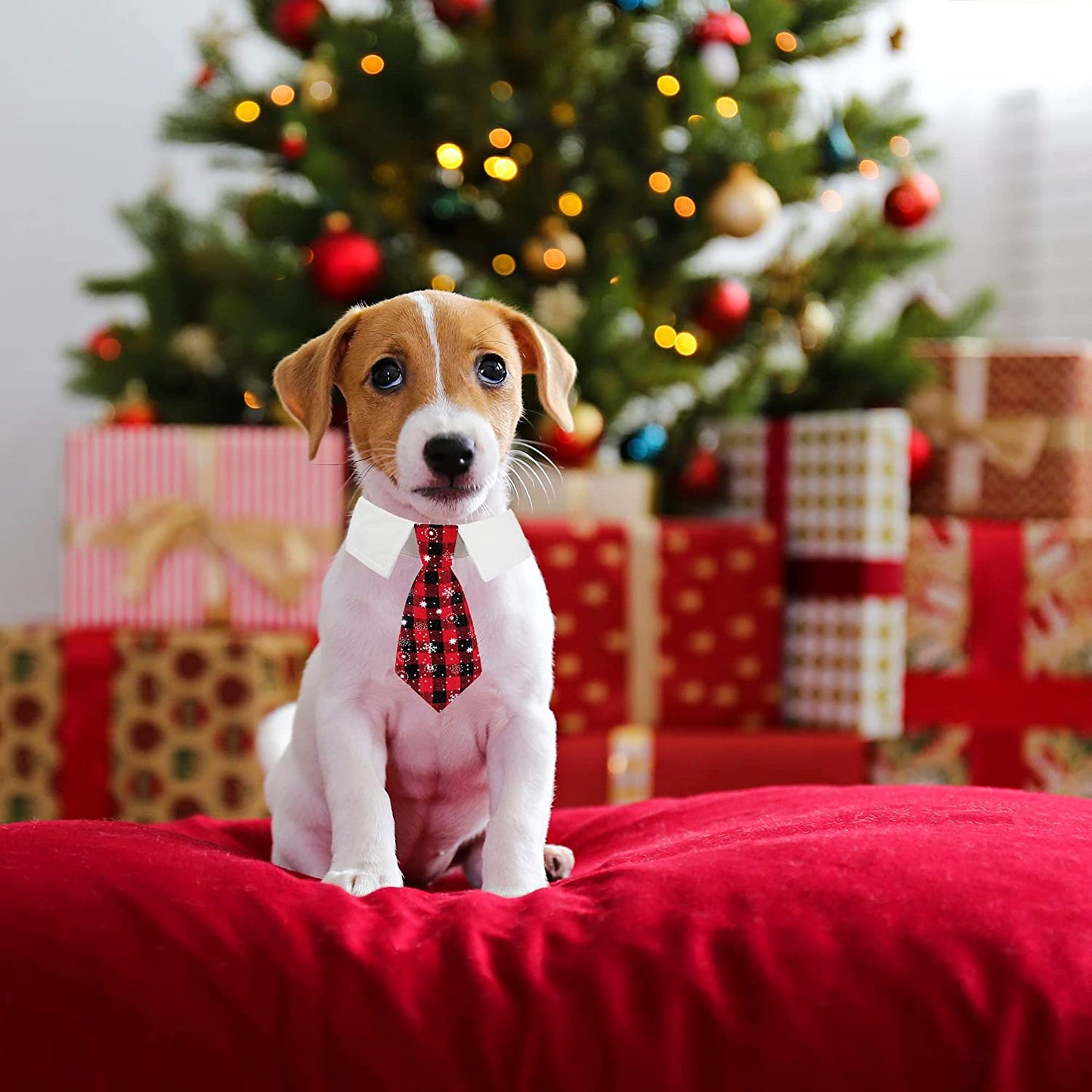 Christmas Dog Necktie Pet Tuxedo Christmas Dog Neck Tie Collar with Red Plaid Tie for Small Medium Large Dogs Pets (Large, Red & Black) Animals & Pet Supplies > Pet Supplies > Dog Supplies > Dog Apparel ADOGGYGO   