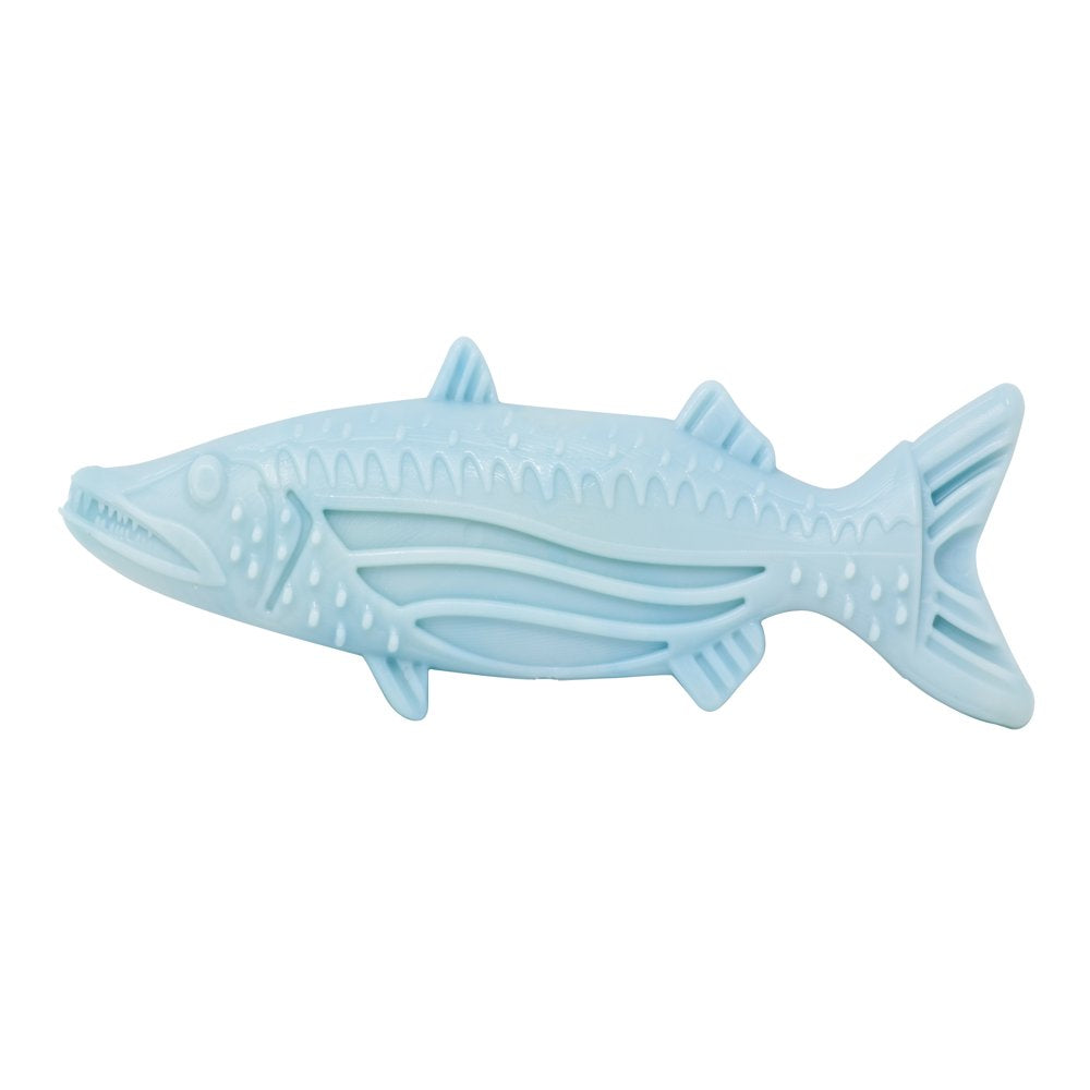 Vibrant Life Barracuda Tough Buddy Recycled Chew Toy, Medium Animals & Pet Supplies > Pet Supplies > Dog Supplies > Dog Toys Vibrant Life   