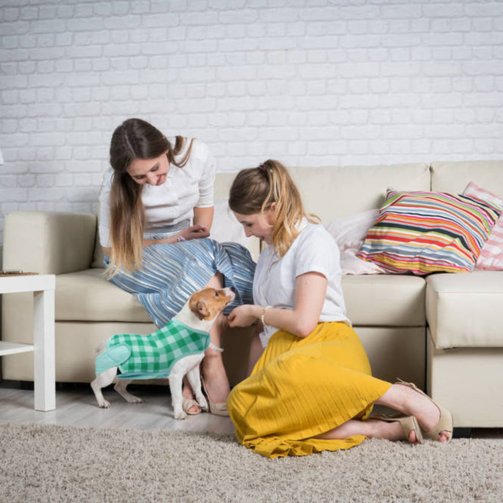 Kuoser Pet Recovery Suit for Dogs Cats after Surgery Breathable Onesie Post Surgery Shirt Professional Pet Recovery Shirt for Puppy, Wound Protective Clothes for Little Animals Animals & Pet Supplies > Pet Supplies > Dog Supplies > Dog Apparel Kuoser   