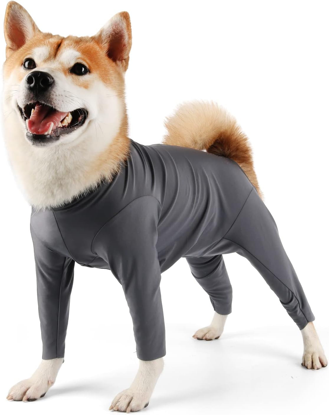 Etdane Dog Onesie for after Surgery Pet Surgical Recovery Suit anti Sh –  KOL PET